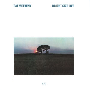 Metheny, Pat - Bright Size Life