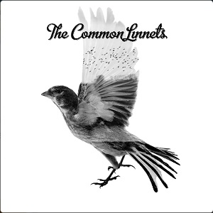 Common Linnets - Common Linnets