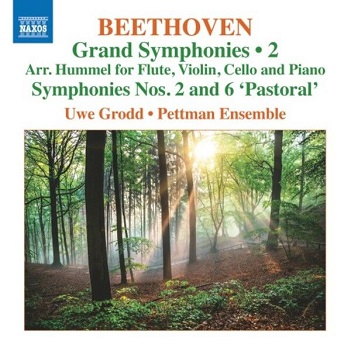 Grodd, Uwe / Pettman Ensemble - Beethoven: Grand Symphonies 2: Symphony Nos. 2 & 6 Pastoral