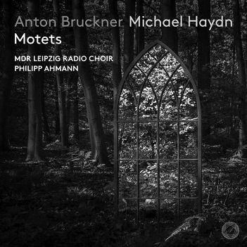 Mdr Leipzig Radio Choir / Philipp Ahmann - Anton Bruckner & Michael Haydn Motets