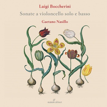 Nasillo, Gaetano - Boccherini: Flute Concertos