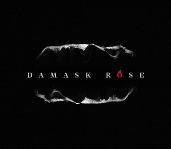 Damask Rose - Damask Rose