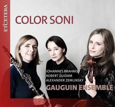 Gauguin Ensemble - Color Soni