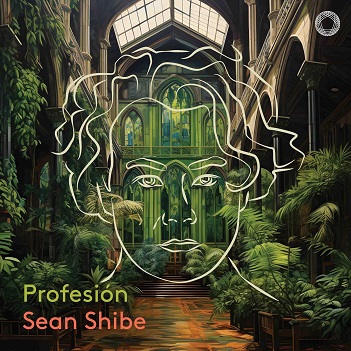 Shibe, Sean - Profesion